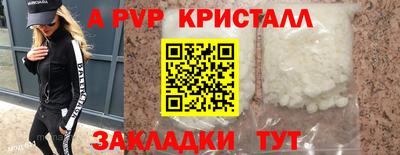 твердый Кингисепп